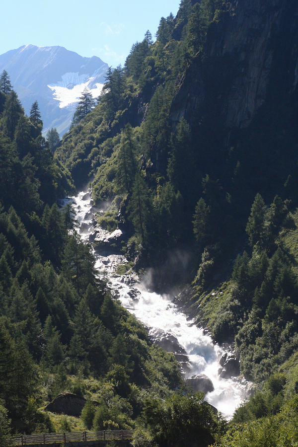 6622 (6697)_Umballfalle.JPG
